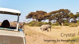  Presentation with elephants - Presentation design consisting of car-adventure-for-avid-tourists background and a coral colored foreground