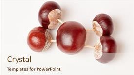  Presentation with figure enlightenment - PPT layouts with car as a chestnut figure background and a sky blue colored foreground