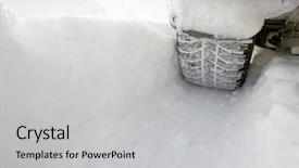  Presentation with leave - Amazing slides having car leave a deep tread backdrop and a light gray colored foreground