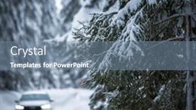  Presentation with forests - 