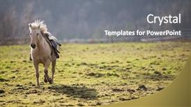  Presentation with horse racing robotics - Colorful slide set enhanced with car powertrain - beautiful saddled horse galloping towards backdrop and a gray colored foreground