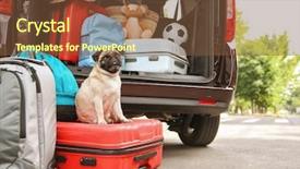  Presentation with cute christmas pug puppy dog - Amazing PPT theme having car trunk with cute pug backdrop and a tawny brown colored foreground