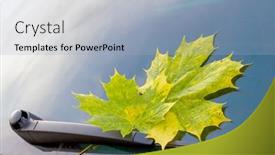  Presentation with windshield - Amazing theme having car-windshield-with-autumn-leaves backdrop and a light blue colored foreground