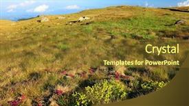  Presentation with romania - PPT layouts having caraiman - alpine landscape in bucegi mountains background and a tawny brown colored foreground