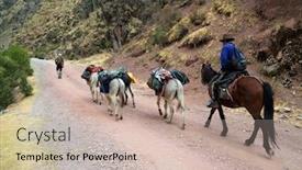  Presentation with caravan - Presentation theme featuring caravan in cordiliera huayhuash peru south america background and a soft green colored foreground