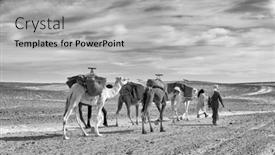  Presentation with caravan - PPT layouts featuring caravan-in-sahara-desert-africa background and a light gray colored foreground