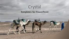  Presentation with caravan - Cool new slides with caravan-in-sahara-desert-africa backdrop and a light gray colored foreground