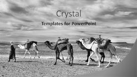  Presentation with caravan - Presentation theme featuring caravan-in-sahara-desert-africa background and a light gray colored foreground