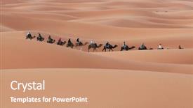  Presentation with camel caravan - Slides having caravan in sahara desert background and a  colored foreground