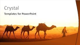  Presentation with sahara - Beautiful slide set featuring caravan-of-camels-in-sahara backdrop and a white colored foreground