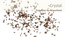  Presentation with seeds - Cool new slide set with caraway-seeds-isolated-on-white backdrop and a cream colored foreground