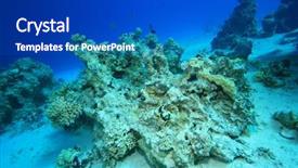  Presentation with coral reef - Amazing presentation theme having carbon dioxide - dead coral reef killed backdrop and a dark gray colored foreground