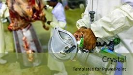  Presentation with meat processing - Audience pleasing presentation theme consisting of carcass - african butcher processing raw meat backdrop and a tawny brown colored foreground