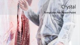  Presentation with inspection - Audience pleasing presentation consisting of carcass - veterinary at meat inspection backdrop and a light gray colored foreground