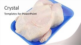 Presentation with chicken - Presentation design with carcass - whole raw chicken on blue background and a sky blue colored foreground