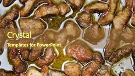  Presentation with meat food - PPT theme featuring carcinogenic - unhealthy food fried meat background and a tawny brown colored foreground