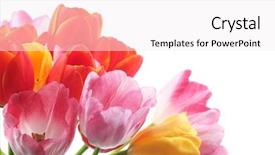  Presentation with beautiful spring flowers - Slides having bunch of beautiful spring flowers background and a sky blue colored foreground