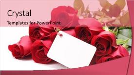  Presentation with roses - Cool new PPT layouts with modern architecture glass railing backdrop and a gray colored foreground