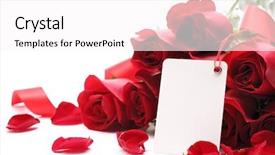  Presentation with white rose - Theme enhanced with card and roses on white background and a white colored foreground