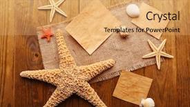  Presentation with shells stars - Presentation theme with card blanks with sea stars and shells on wooden background background and a yellow colored foreground