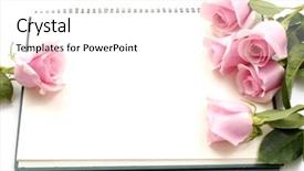  Presentation with congratulation - Audience pleasing slides consisting of card congratulation - rose with a blank note backdrop and a white colored foreground