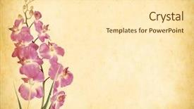  Presentation with congratulation - Presentation design enhanced with card for invitation or congratulation background and a cream colored foreground