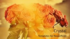  Presentation with wedding anniversary - PPT theme enhanced with card for valentines day mother background and a gold colored foreground