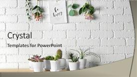  Presentation with white brick wall - Cool new slide deck with cactus with greeting card backdrop and a light gray colored foreground