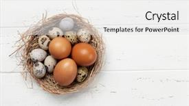  Presentation with happy birthday mama greeting card - Beautiful presentation theme featuring card with hen and quail backdrop and a white colored foreground