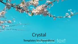  Presentation with mechanical engineering car spring - Amazing PPT theme having card with spring cherry blossoms backdrop and a cyan colored foreground