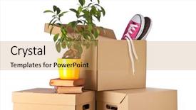  Presentation with cuban cigars in boxes - Amazing PPT theme having cardboard boxes on white background backdrop and a yellow colored foreground