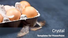  Presentation with feather - Amazing theme having cardboard container and feather backdrop and a ocean colored foreground