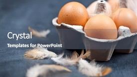  Presentation with baby chicken in poultry farm - Amazing slide set having cardboard container and feather backdrop and a ocean colored foreground