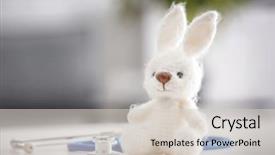  Presentation with bunny - Amazing slide deck having cardiology - cute knitted bunny and stethoscope backdrop and a lemonade colored foreground