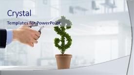  Presentation with care pathways - Cool new PPT theme with care and protect your money backdrop and a sky blue colored foreground