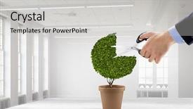  Presentation with care pathways - PPT layouts having care and protect your money background and a light gray colored foreground