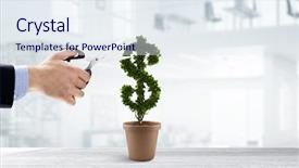  Presentation with blackwomen hair care - Slides having care and protect your money background and a sky blue colored foreground