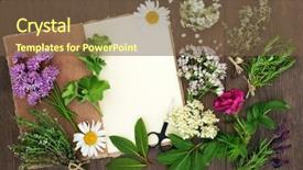  Presentation with hemp - Beautiful presentation design featuring care bundle - herbs and flowers for herbal backdrop and a tawny brown colored foreground