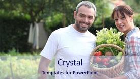  Presentation with vegetable garden - Presentation theme with care of their vegetable garden background and a sky blue colored foreground