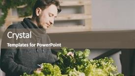  Presentation with plants growing - Colorful slide deck enhanced with carefully growing and checking plant backdrop and a  colored foreground