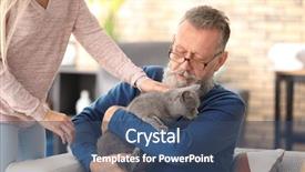  Presentation with caregiver - PPT theme featuring caregiver giving cute cat background and a ocean colored foreground