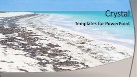  Presentation with blue water - Amazing slide deck having caribbean beach with green water backdrop and a light blue colored foreground