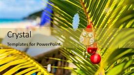  Presentation with caribbean christmas - Amazing slide deck having caribbean beach with palm trees backdrop and a gold colored foreground