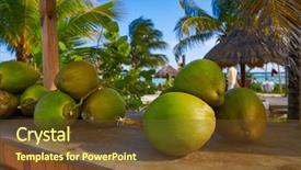  Presentation with caribbean - PPT theme with caribbean coconut fruits in mayan background and a tawny brown colored foreground