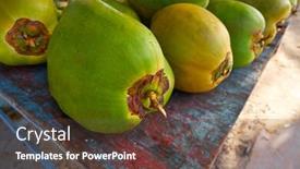 Presentation with mayan - Audience pleasing theme consisting of caribbean coconut fruits in mayan backdrop and a tawny brown colored foreground