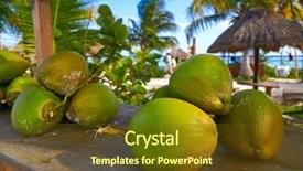  Presentation with mayan - Cool new presentation with caribbean coconut fruits in mayan backdrop and a tawny brown colored foreground