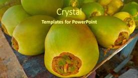  Presentation with mayan - Presentation theme enhanced with caribbean coconut fruits in mayan background and a tawny brown colored foreground