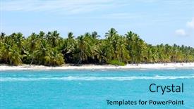  Presentation with caribbean - Audience pleasing slide deck consisting of handmade bird jackdaw close up not afraid of people backdrop and a tawny brown colored foreground