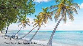  Presentation with water ocean - Slide set enhanced with caribbean-mustique-island-one background and a light blue colored foreground