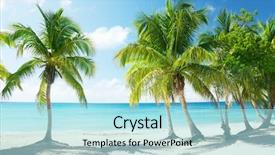  Presentation with coconut - Audience pleasing slide deck consisting of caribbean sea and coconut palms backdrop and a light blue colored foreground